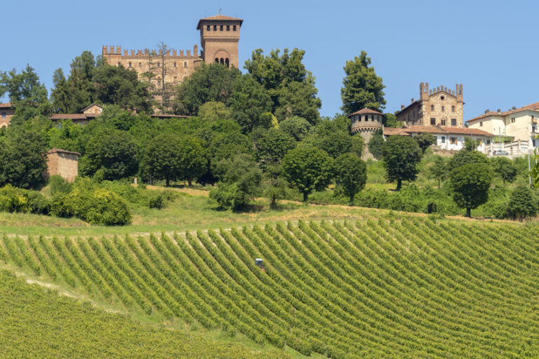 vigneti a gabiano monferrato