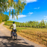 tour bici monferrato