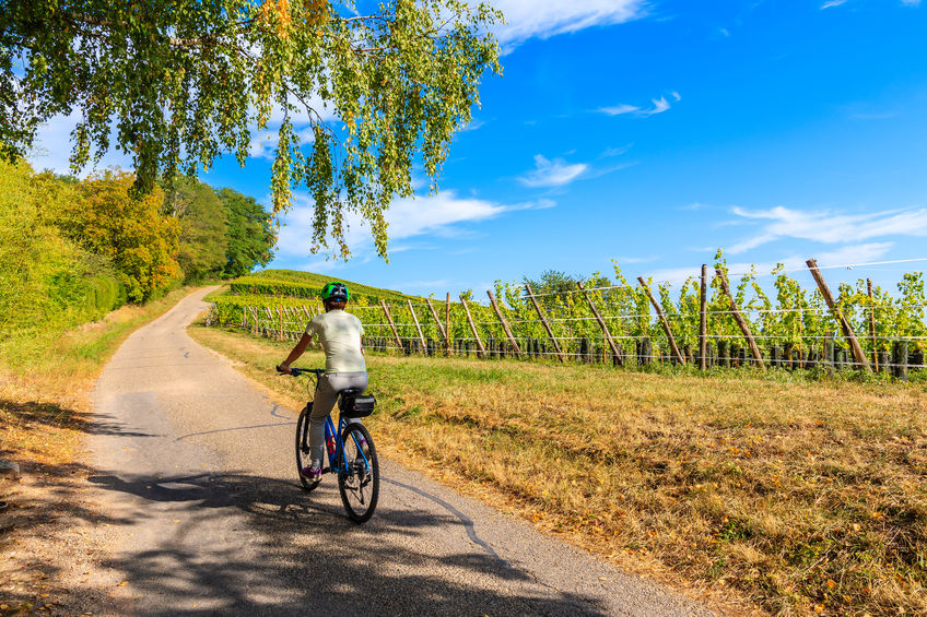 tour bici monferrato