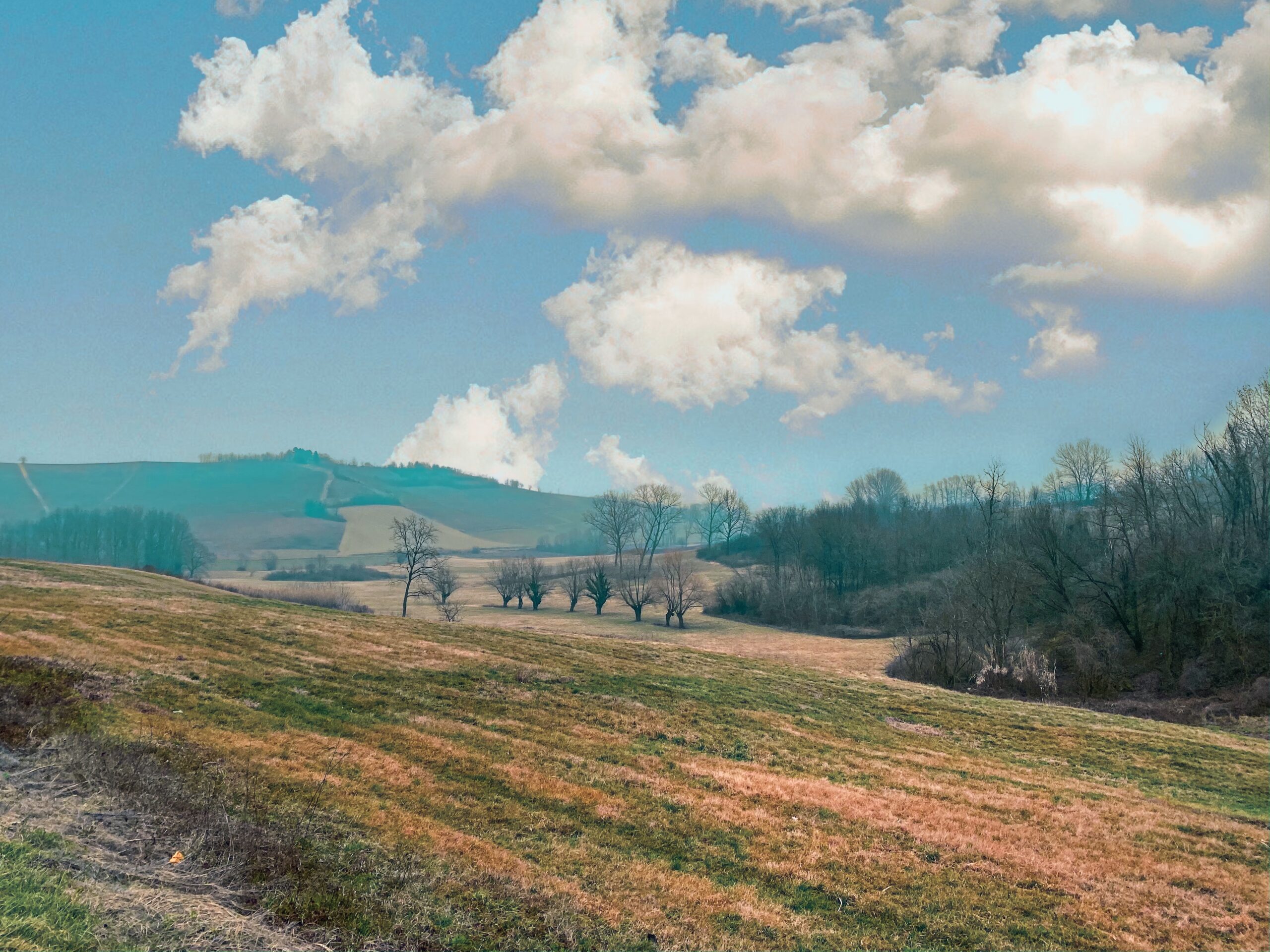 moncalvo paesaggio