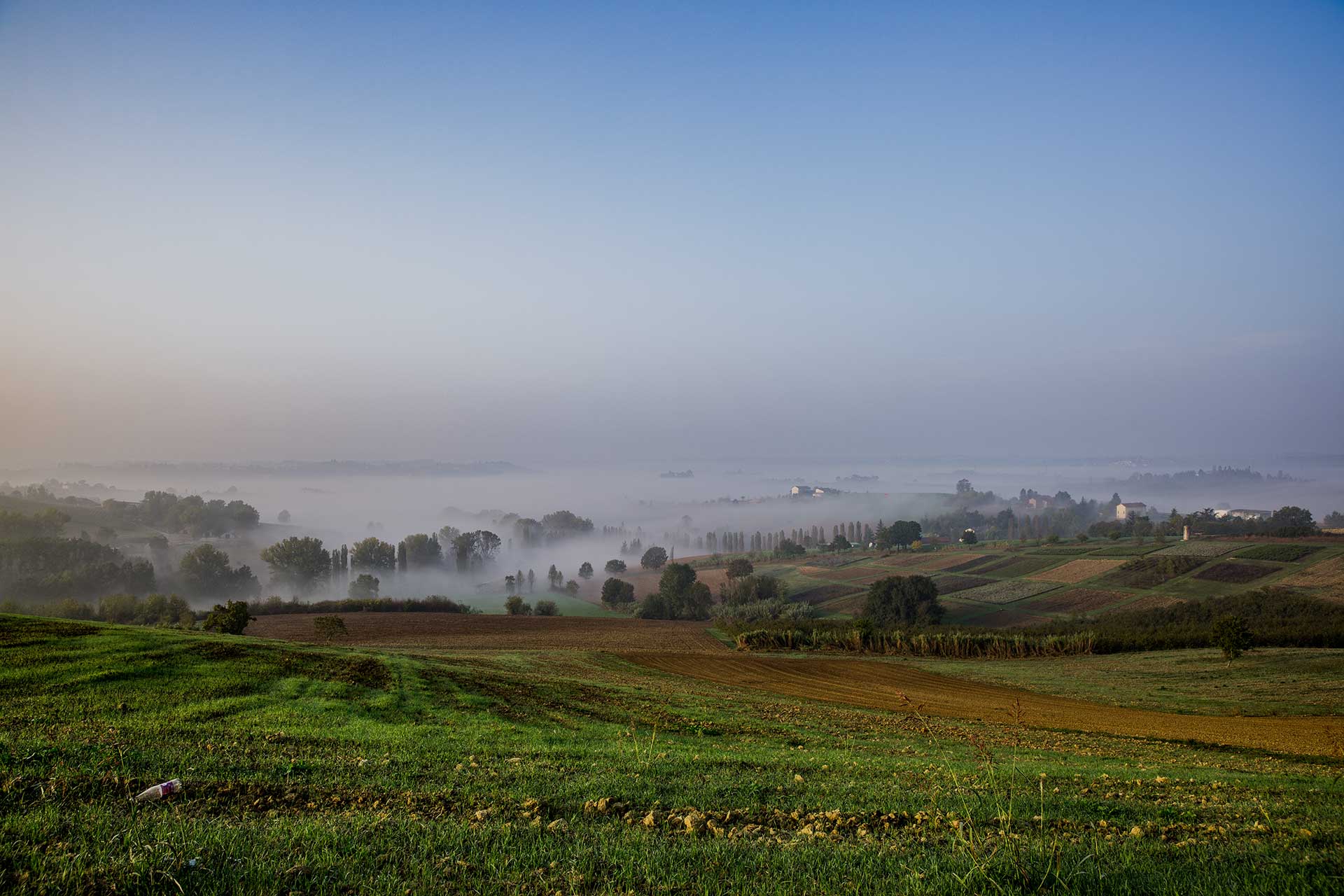 Monferrato