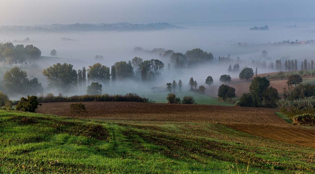 Paesaggio del Monferrato