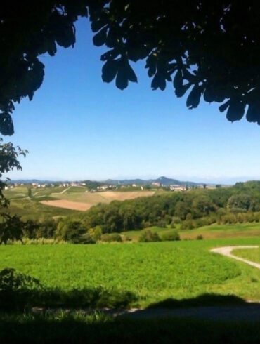 Cella Monte Monferrato Vista Alpi