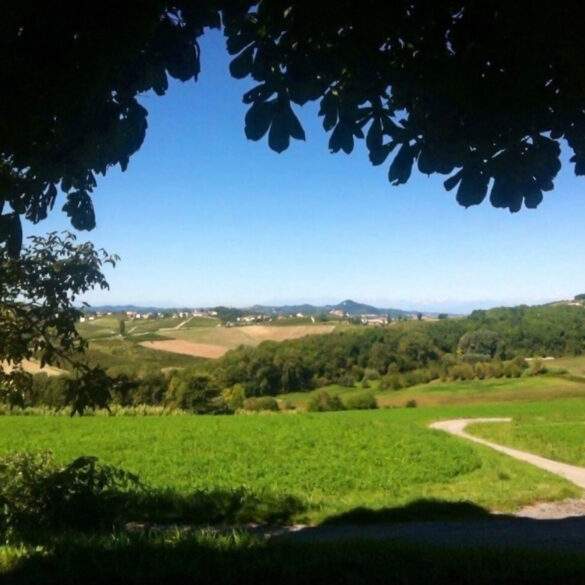 Cella Monte Monferrato Vista Alpi