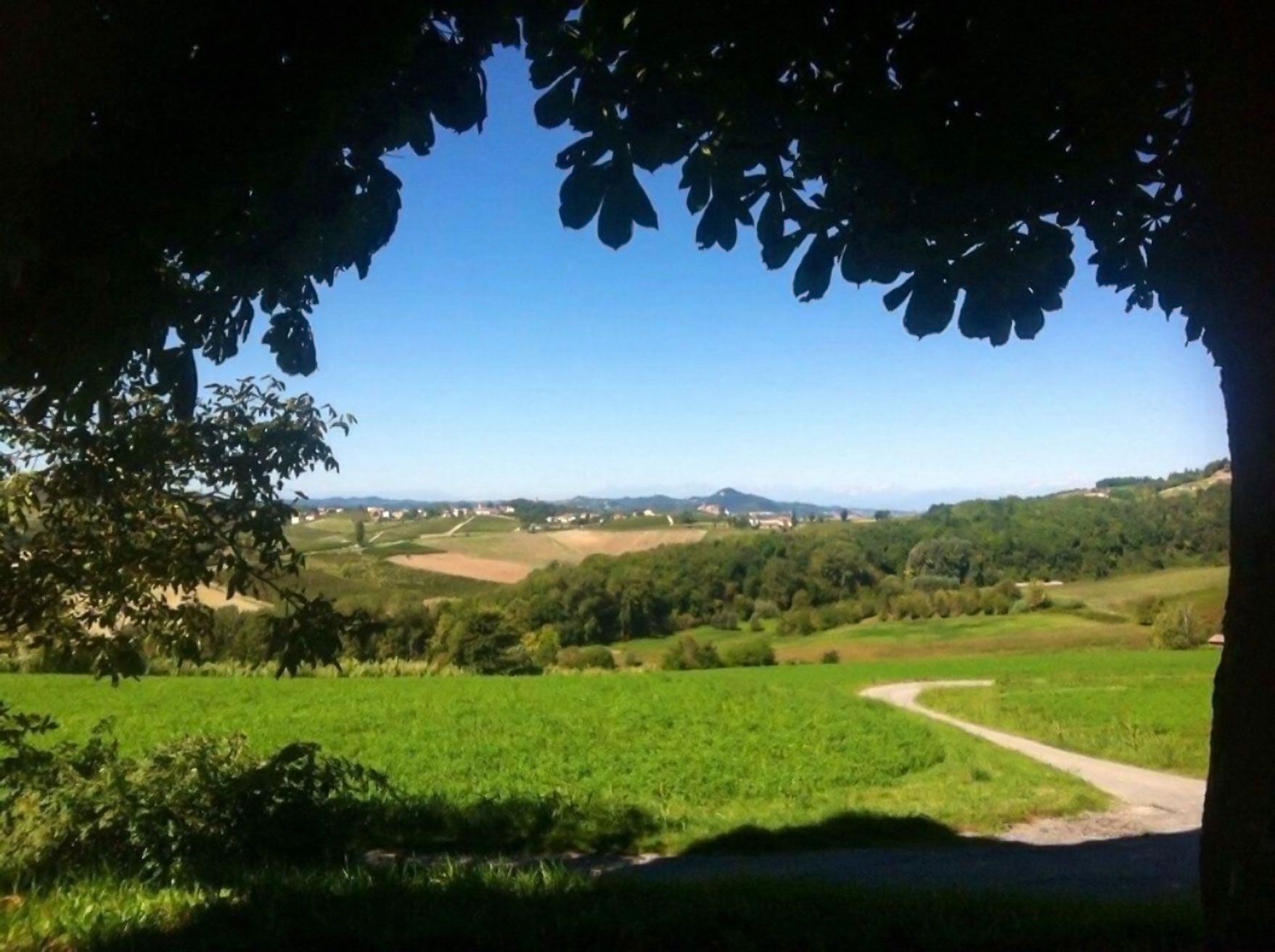 Cella Monte Monferrato Vista Alpi