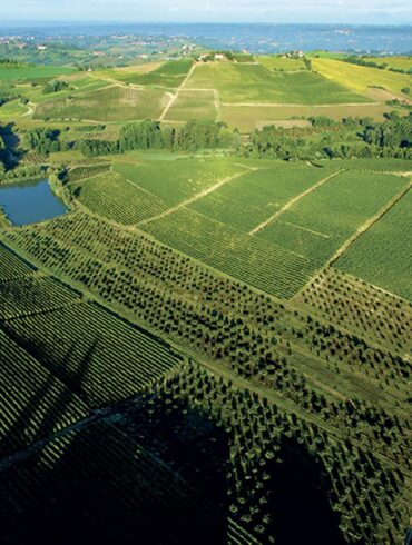 Vigna Ruchè