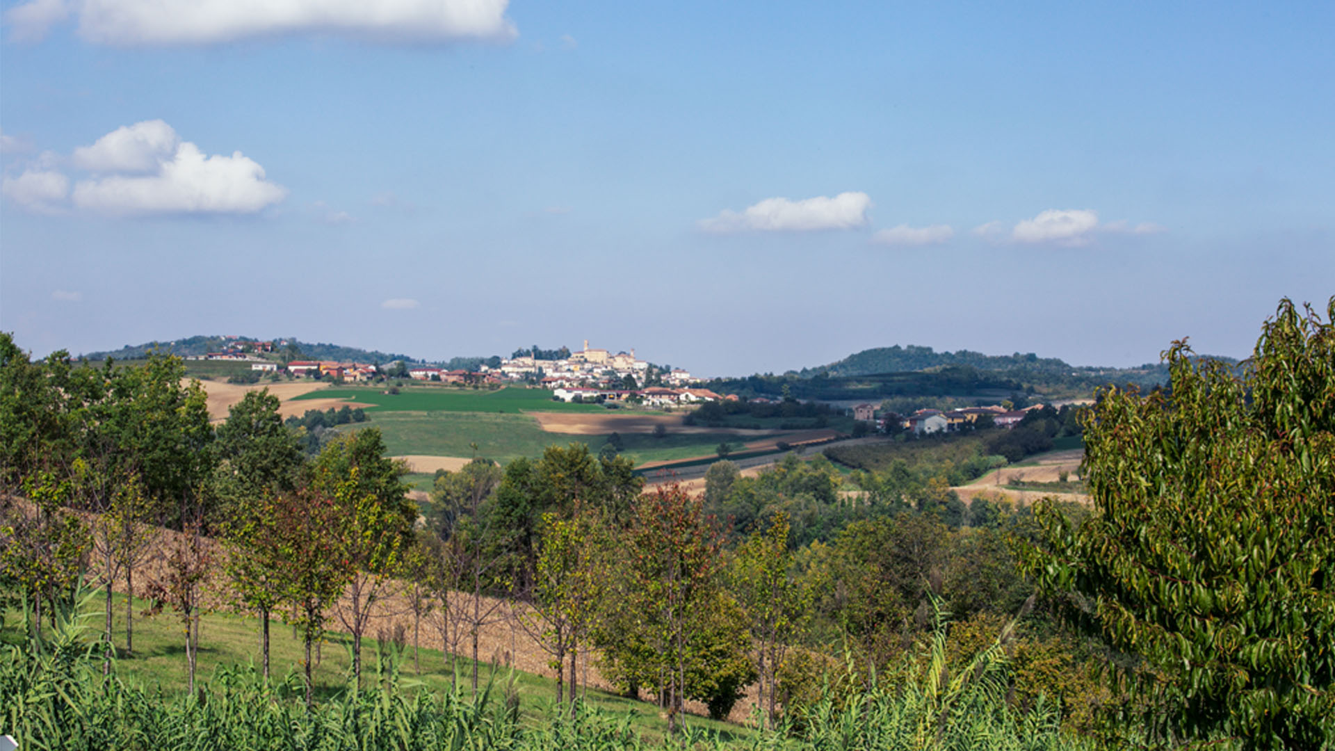 Monferrato