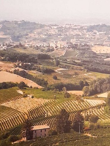 Acqui terme vie del sale