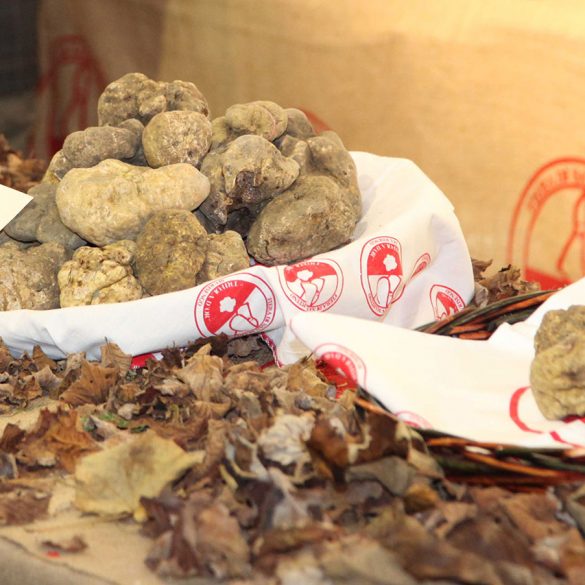 Fiere del Tartufo nel Monferrato