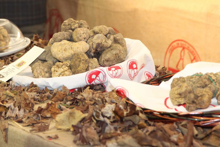 Fiere del Tartufo nel Monferrato