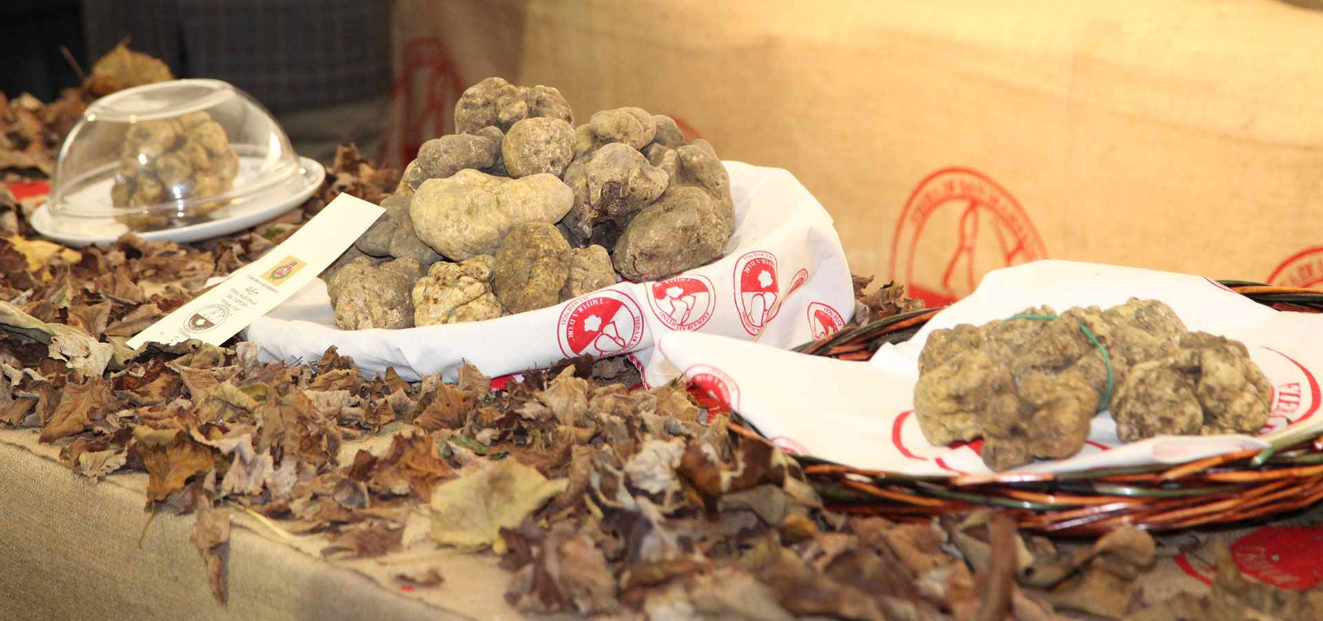 Fiere del Tartufo nel Monferrato