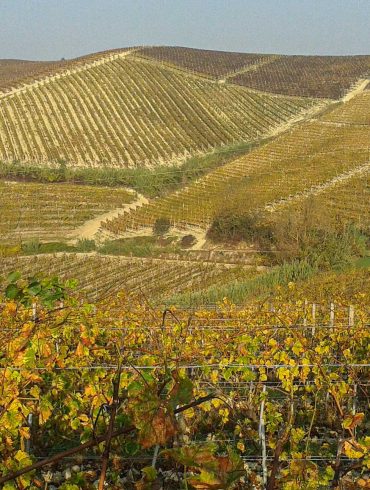 Monferrato colline