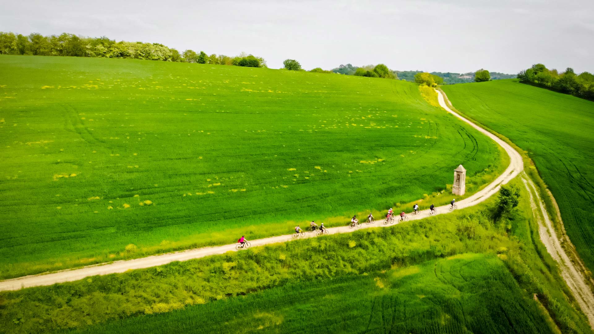 Bici in Monferrato