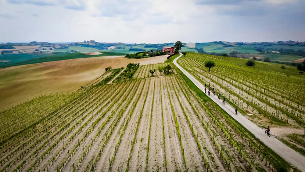 Bike in Monferrato