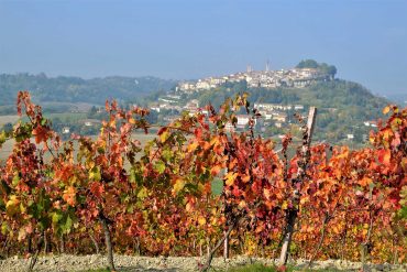 Rosignano con vigne autunnali