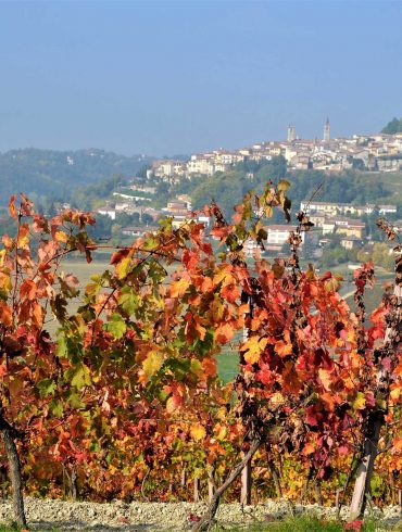 Rosignano con vigne autunnali