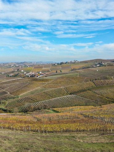 Colline del Monferrato da Acqui