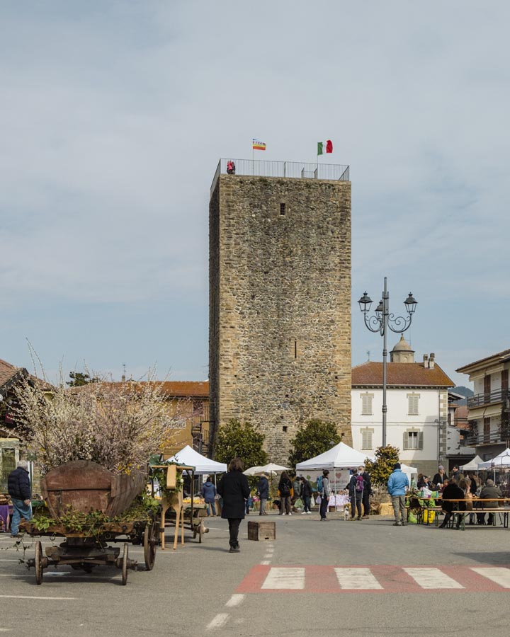 Cartosio sotto la torre