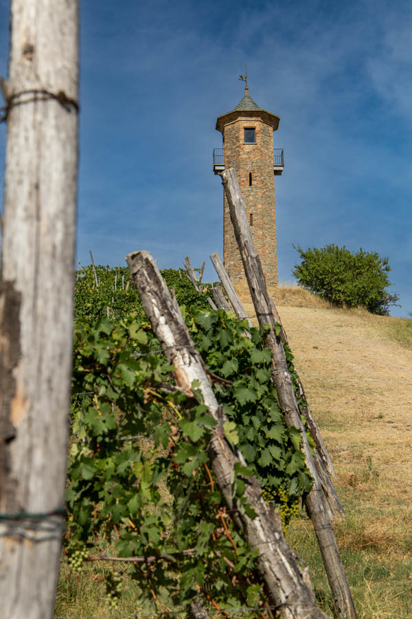 Torre Contini dalle Vigne