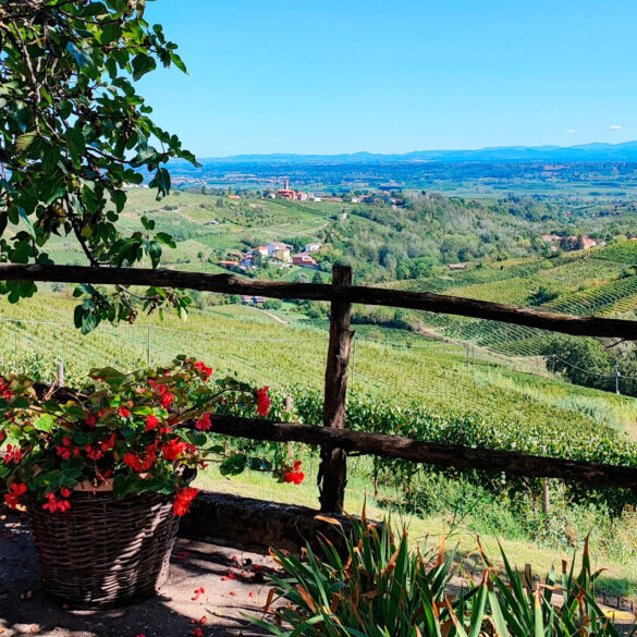 Colline a Cascina Valtignosa Marenco Vini