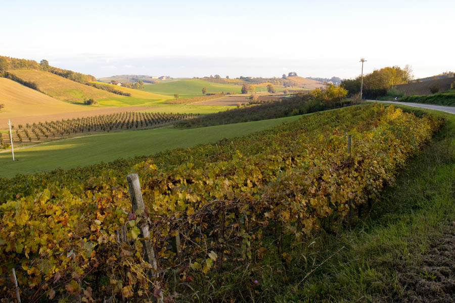 Colline del Monferrato alessandrino